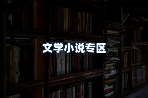 文学小说PDF展示